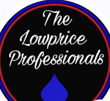 Lowprice Pros LLC